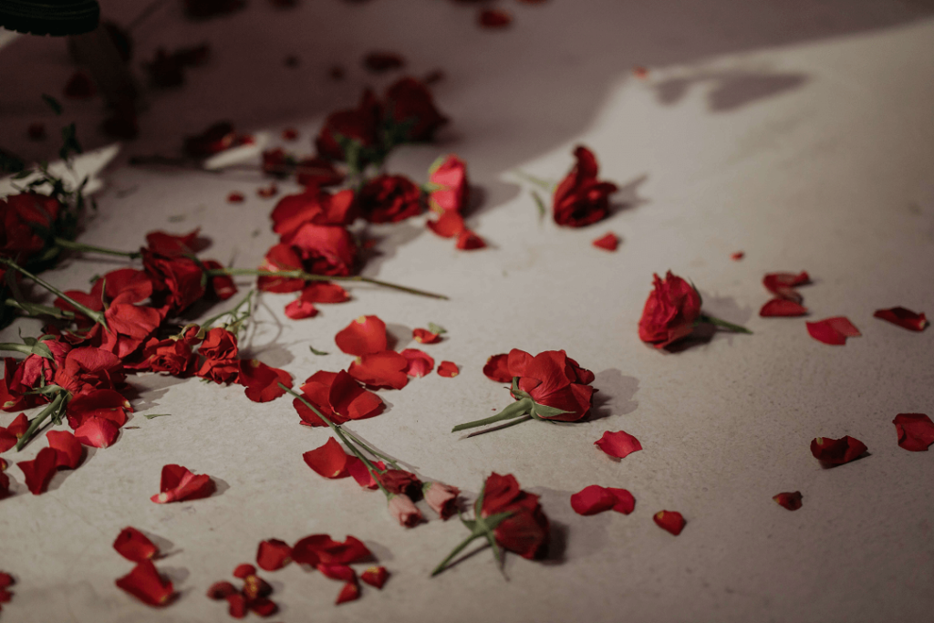 Dried rose petals